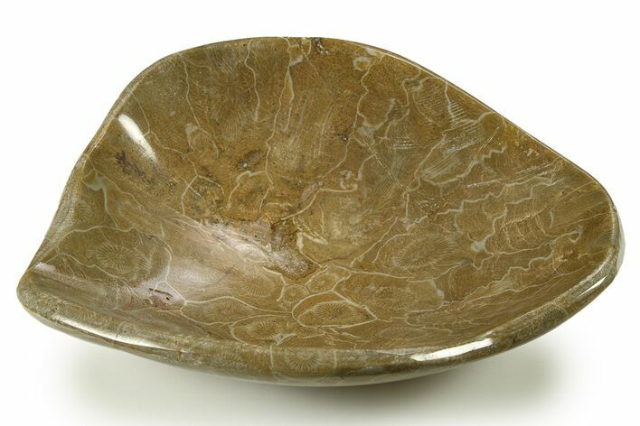 Polished Fossil Coral (Actinocyathus) Dish - Morocco #289010